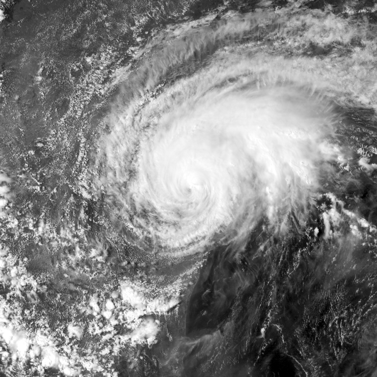 Hurricane Harvey-Yohannan