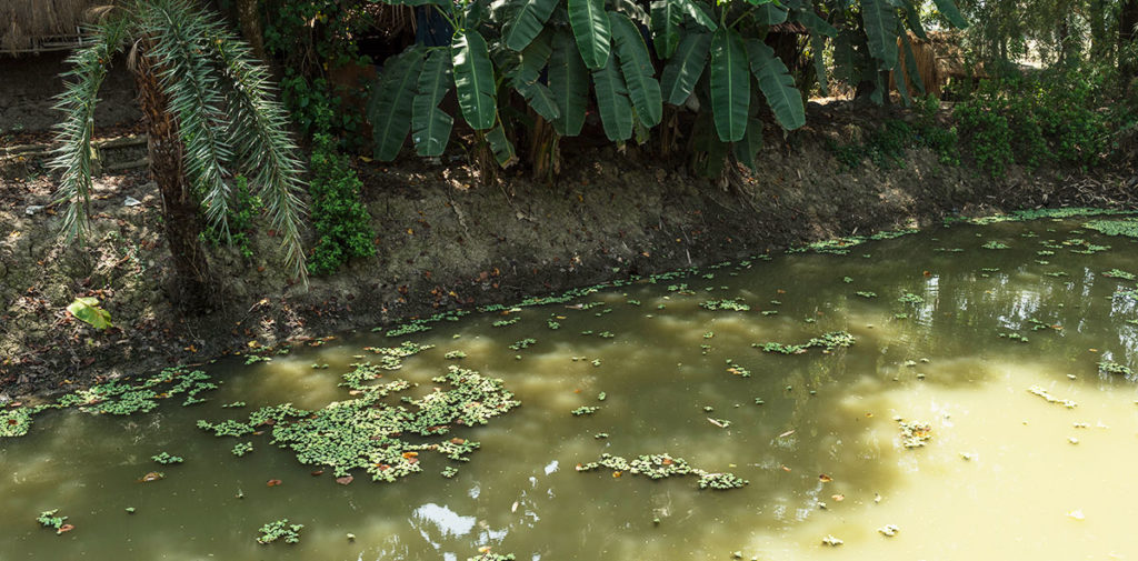 dirty pond water in Asia, an example of the need for sanitation projects