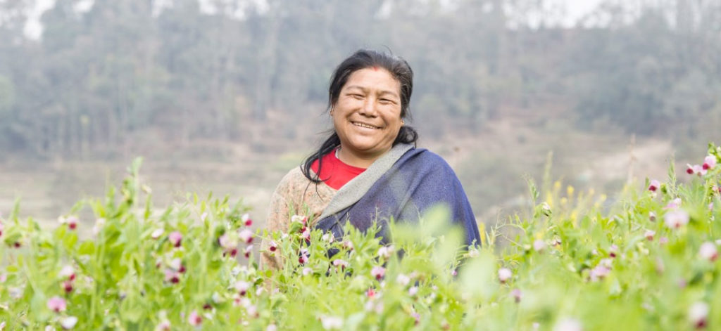 Santu Kamari Maharjan of Nepal struggled greatly because she was a widow, until Women for Human Rights helped her and 14 other women start an agriculture business. (photo credit Womankind Worldwide via CNN.com)