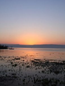 Galilee has experienced yet another miracle with the fourth consecutive month of above average rainfall. The last time northern Israel experienced similar sustained rainfall was in 1992.