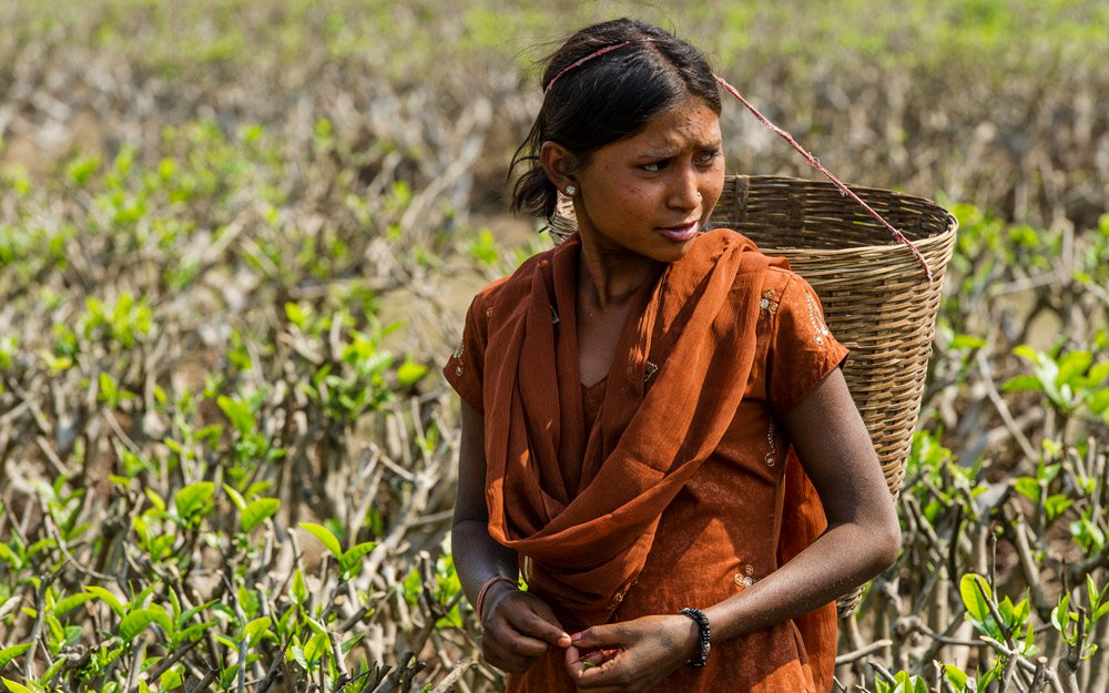 This young woman, Maloti, was kidnapped from the tea farm she worked on as a day laborer and recently married to someone of a higher caste. Her in-laws, disgusted by her being of a lower caste, hated her so much that they poisoned her. Their murderous attempt failed and Maloti survived, but suffered damage to her vocal cords.