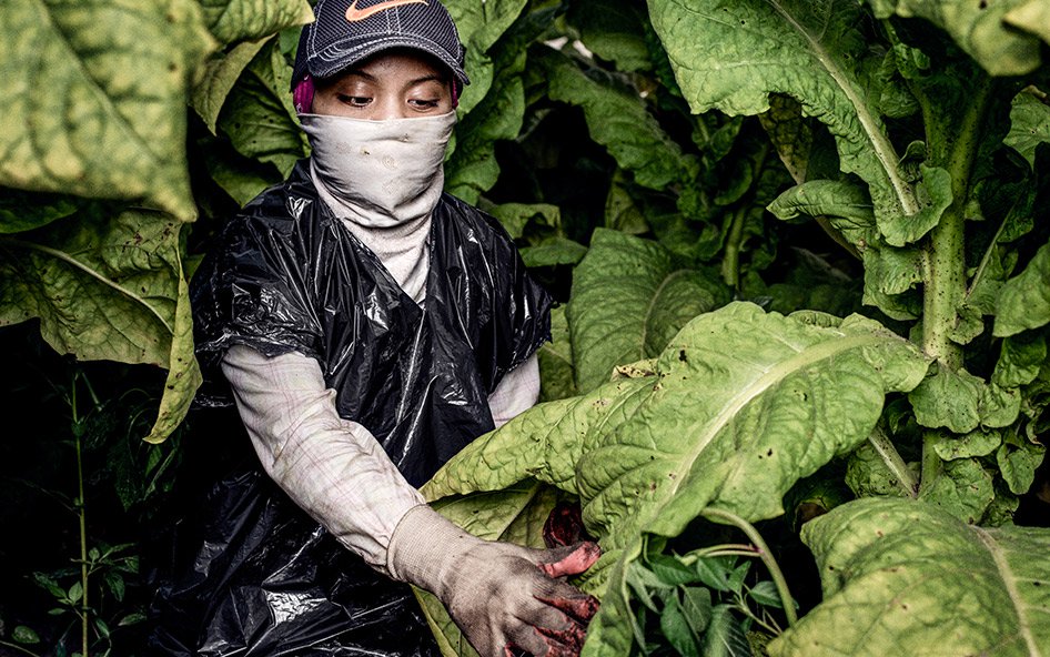 This 17-year-old young woman began working on a tobacco farm in America when she was just 13 years old. She shared, “None of my bosses or contractors or crew leaders have ever told us anything about pesticides and how we can protect ourselves from them...When I worked with my mom, she would take care of me, and she would like always make sure I was okay... Our bosses don’t give us anything except for our checks. That’s it.” © 2015 Benedict Evans for Human Rights Watch