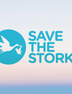 Save the Storks is excited to announce it has named Diane P. Ferraro the new Chief Executive Officer of the organization.