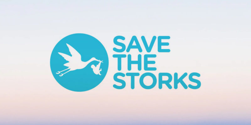 Save the Storks is excited to announce it has named Diane P. Ferraro the new Chief Executive Officer of the organization.