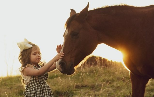 The Ranches is a Christian organization dedicated to “Rekindling Hope in Today’s Youth.” They offer services for families in pursuit of a brighter tomorrow.