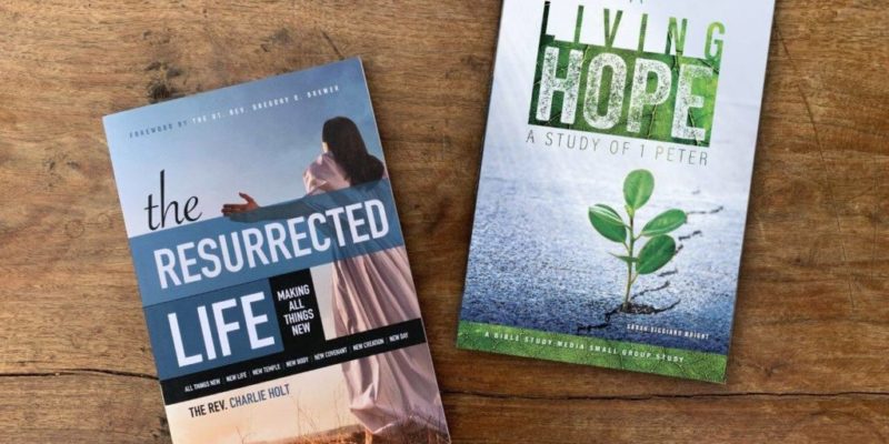 Bible Study Media announced today it will offer content from one of their recent books to the public at no cost through their new online community platform.