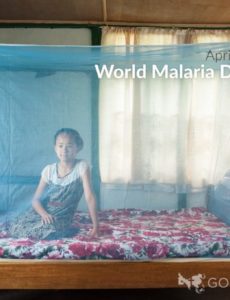 April 25th is set aside by public health officials as World Malaria Day. Should we even be concerned about malaria during the Coronavirus pandemic?