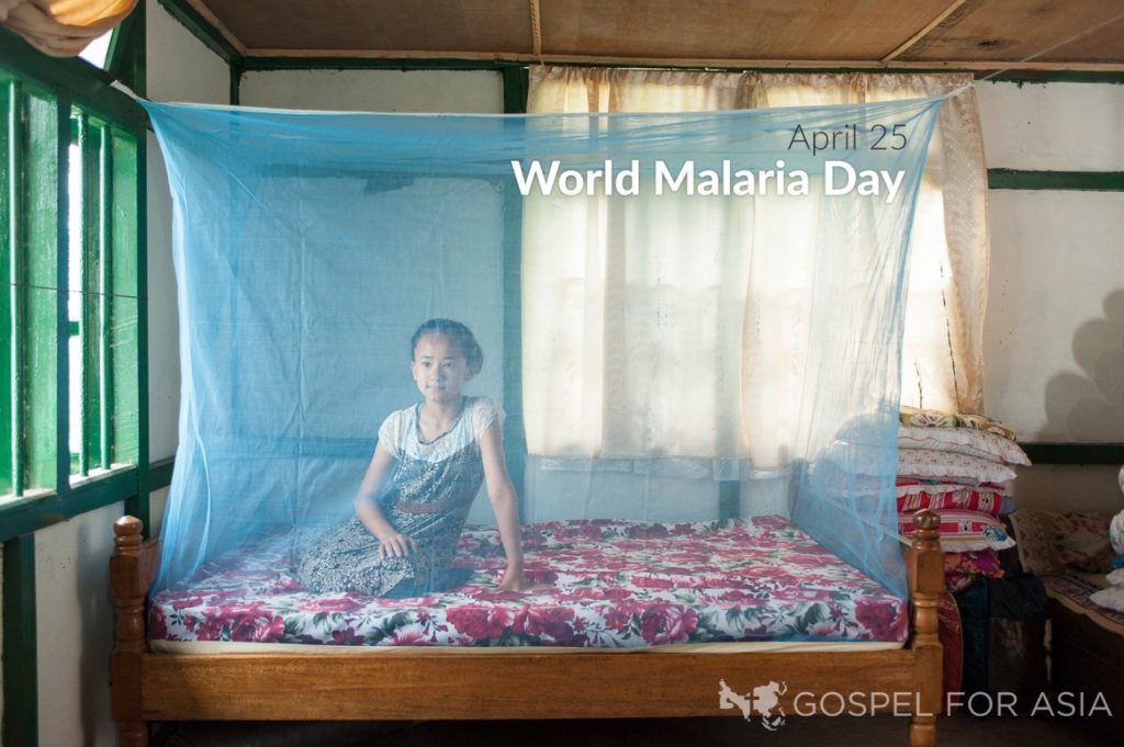 April 25th is set aside by public health officials as World Malaria Day. Should we even be concerned about malaria during the Coronavirus pandemic?