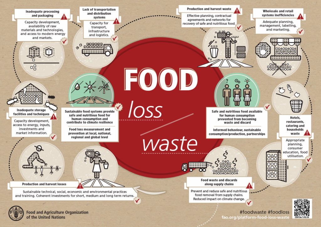 Food loss / waste infographic