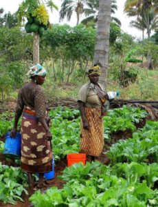 The International Day of Rural Women is observed annually on October 15, recognizing the needs of women in developing countries