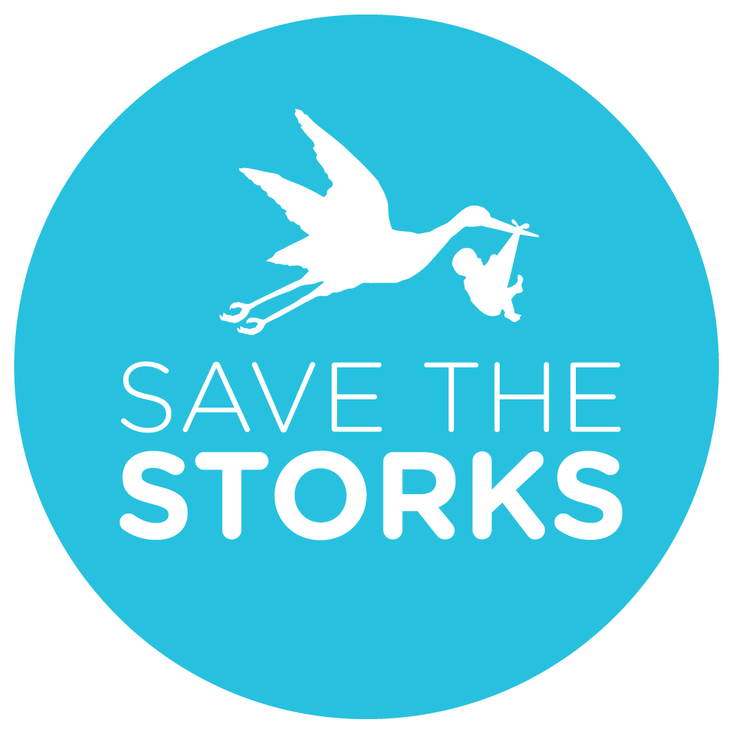 On December 15, 2020 the pro-life non-profit Save the Storks will host its first ever Love Compassion Action virtual event.