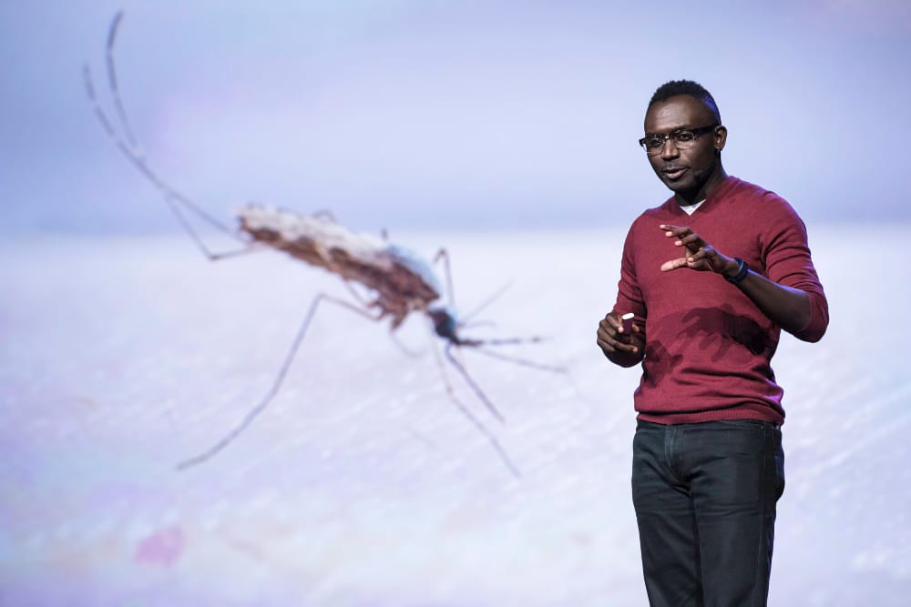 Fredros Okumu speaking at TEDGlobal 2017