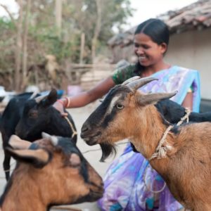 GFA World says a single farm animal can transform the fortunes of a family in dire poverty, providing food and sustainable income.