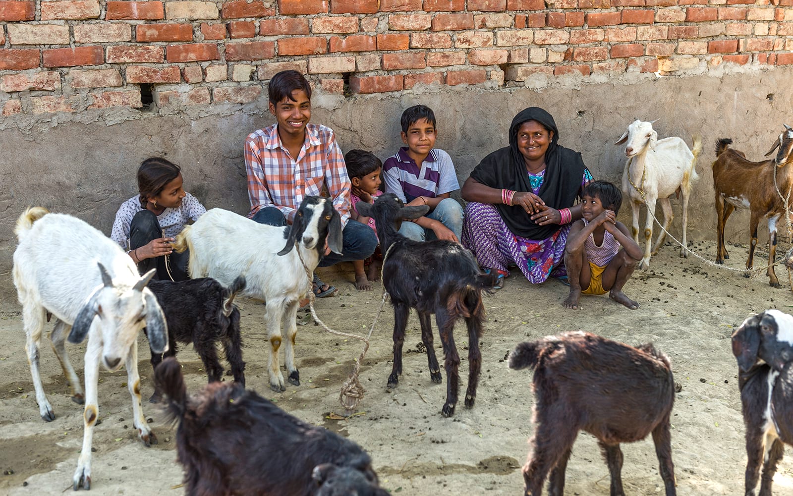 Family received the gift of income generating goats