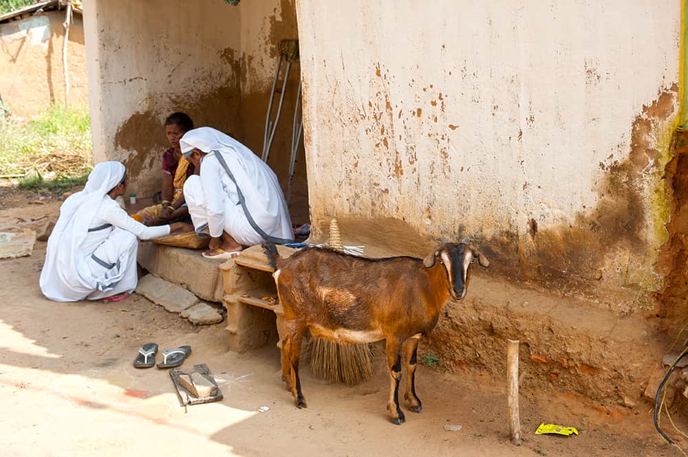 This leprosy patient received a goat as a CHristmas gift through the work of GFA World Sisters of Compassion