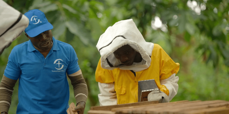 Dozens of Liberian beekeepers are learning the trade through the Beekeeping for Economic Empowerment (BEE) program.